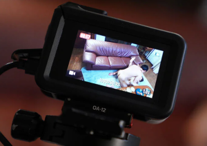 Thumbnail of post image 107